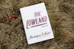 The Lowland in grass